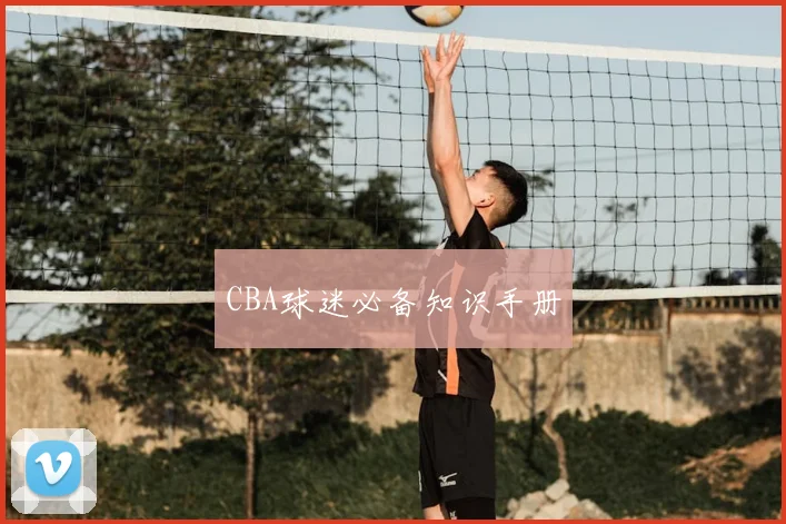 CBA球迷必备知识手册