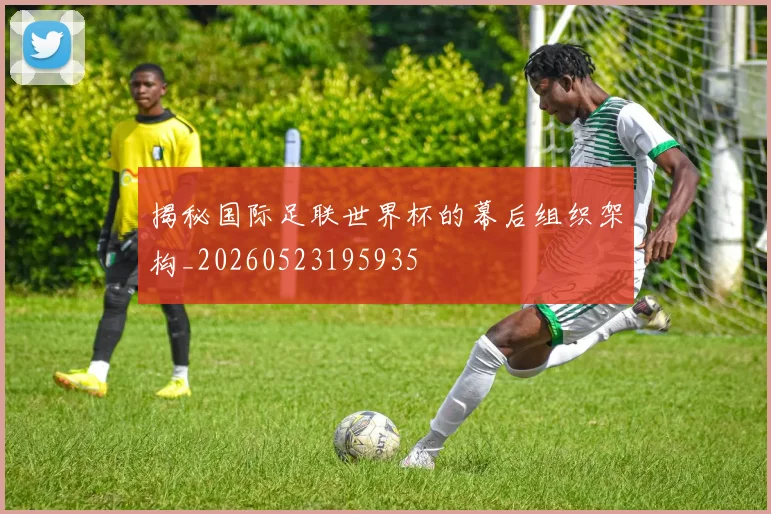 揭秘国际足联世界杯的幕后组织架构_20260523195935