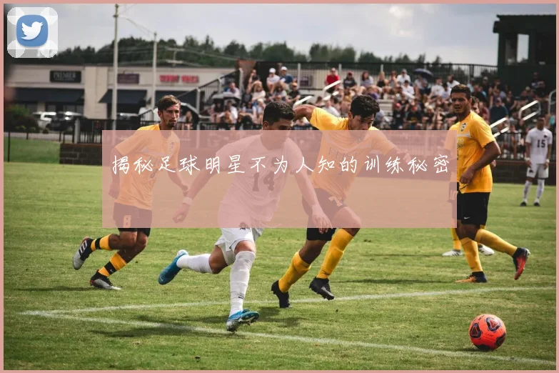 揭秘足球明星不为人知的训练秘密
