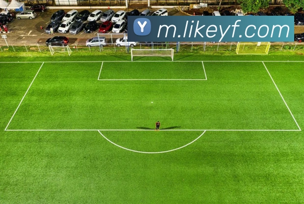 万博app体育官网服务体系